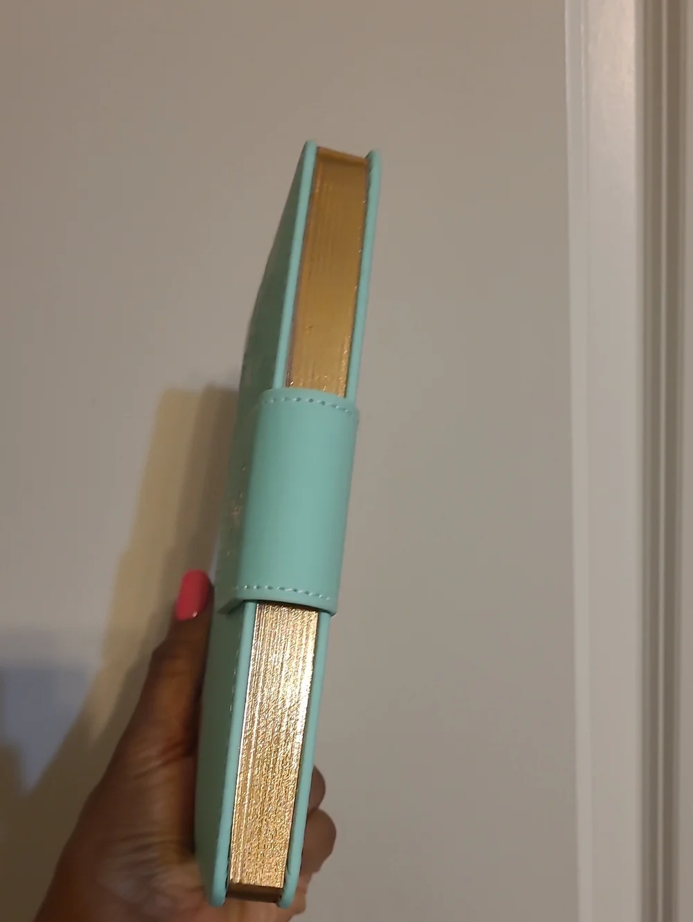 Juicy Couture Turquoise Butterfly Snap Journal